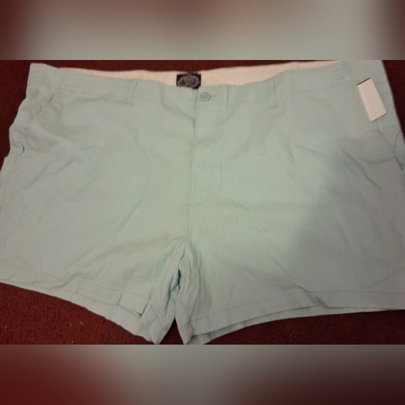 St. John Bay shorts Sky BLUE - Picture 8 of 13